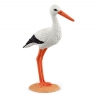 Cigogne Scheich
