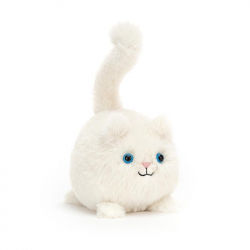 Caboodle - Chat blanc