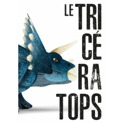 Maquette en 3D - Le tricératops