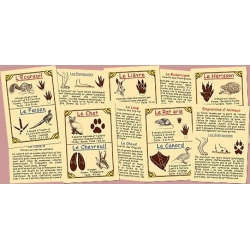Empreintes d'animaux