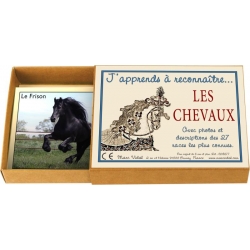 J'apprends à reconnaître les chevaux