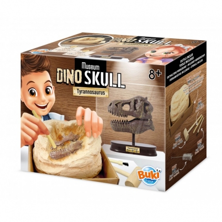 T - Rex museum skull