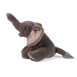 Tout autour du monde - Petit éléphant