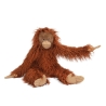 Tout autour du monde - Grand orang-outan