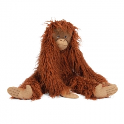 Tout autour du monde - Grand orang-outan