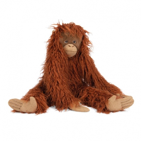 Tout autour du monde - Grand orang-outan