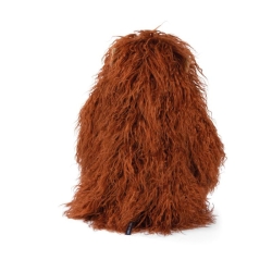 Tout autour du monde - Grand orang-outan