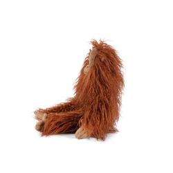 Tout autour du monde - Petit orang-outan
