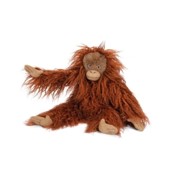 Tout autour du monde - Petit orang-outan