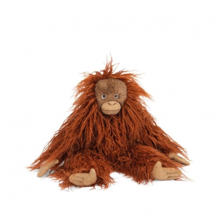 Tout autour du monde - Petit orang-outan