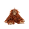 Tout autour du monde - Petit orang-outan