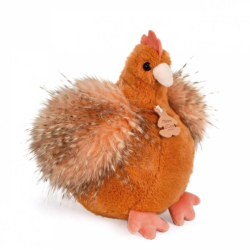 Les poulettes - Poule rousse