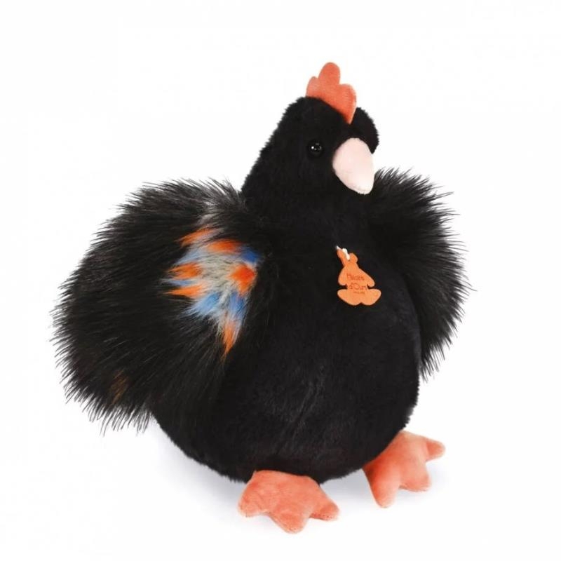 Les poulettes - Poule noire