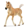 Poulain Haflinger Schleich
