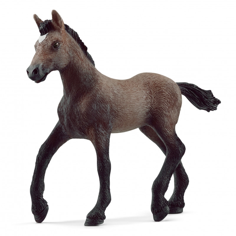 Poulain Paso péruvien Schleich
