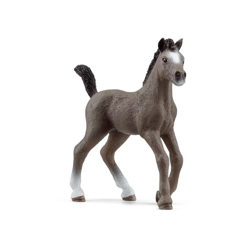 Poulain Selle  français Schleich