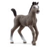 Poulain Selle  français Schleich