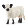 Vache Galloway Schleich