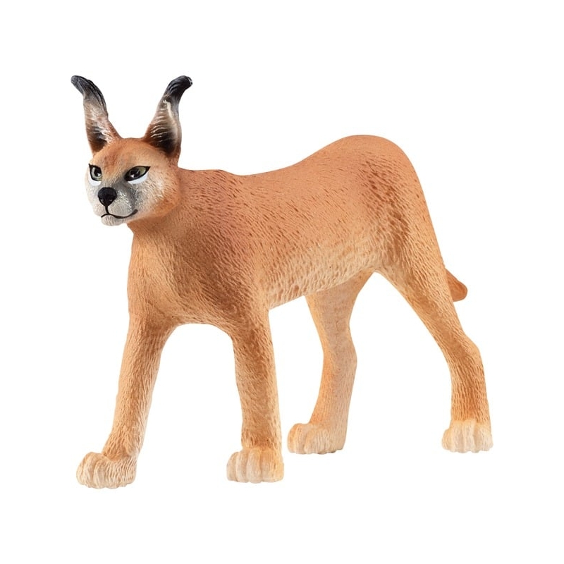 Caracal femelle Schleich