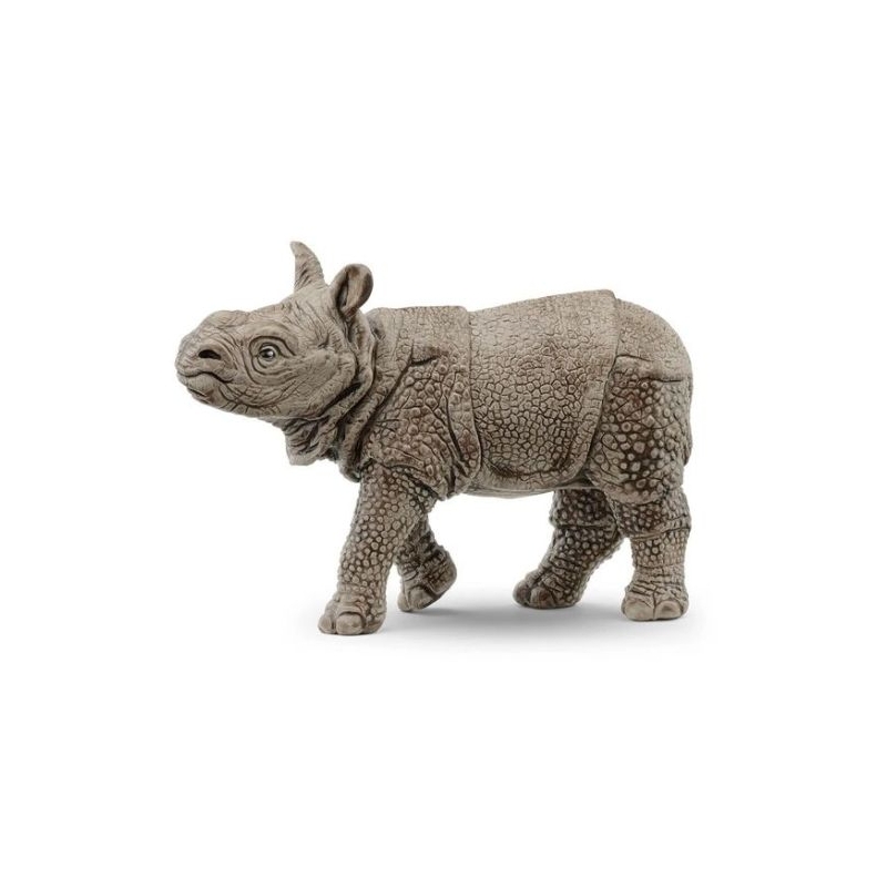 Bébé rhinocéros indien