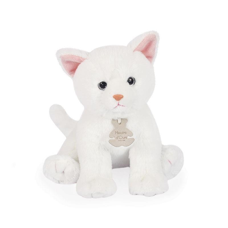 Chaton blanc