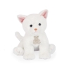 Chaton blanc