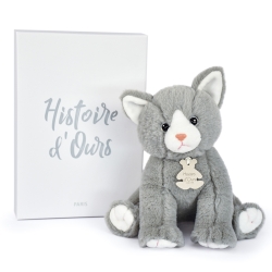 Chaton gris