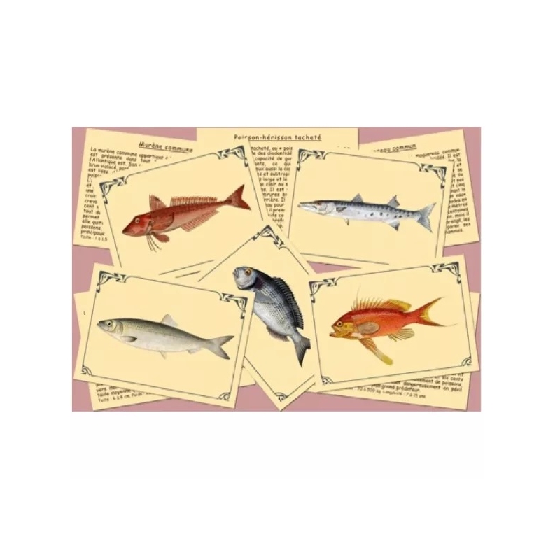 Connais - tu les poissons