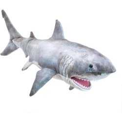 Requin blanc