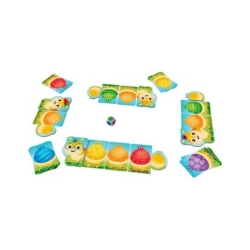 Petites chenilles multicolores