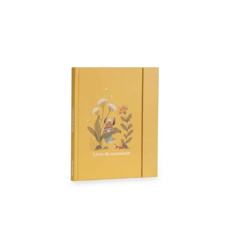 Trois petits lapins - Livre de naissance