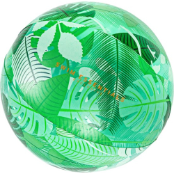 Ballon de plage Tropical