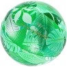 Ballon de plage Tropical