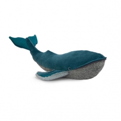 Tout autour du monde - Grande baleine à bosse