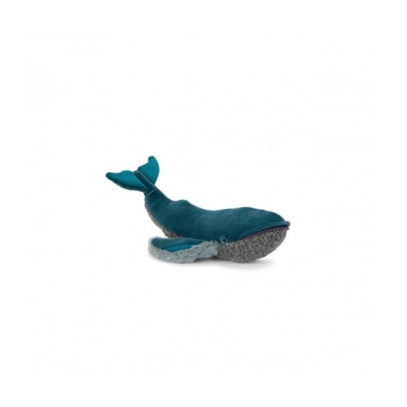 Tout autour du monde - Petite baleine à bosse