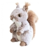 Ecureuil beige