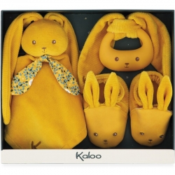 Mon premier coffret naissance - Ocre
