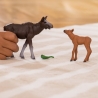 Wild Life - Elan femelle avec veau