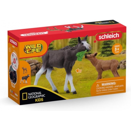 Wild Life - Elan femelle avec veau