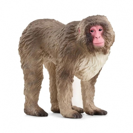 Macaque japonais Schleich