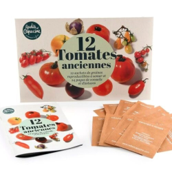 Radis et capucine - 12 tomates anciennes