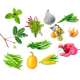Radis et capucine - 12 légumes insolites