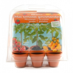 Radis et capucine - Mes tomates gourmandes