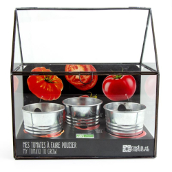 Radis et capucine - Tomates en serre