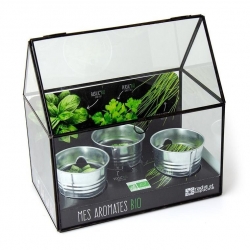 Radis et capucine - Plantes aromatiques en serre