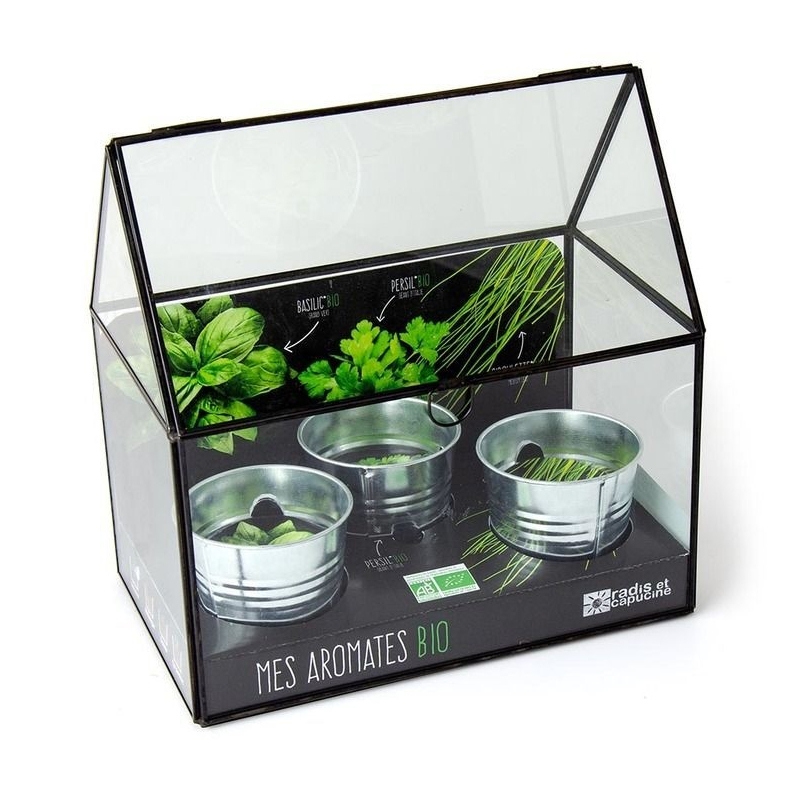 Radis et capucine - Plantes aromatiques en serre