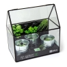 Radis et capucine - Plantes aromatiques en serre