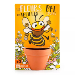Radis et capucine - Les fleurs des abeilles