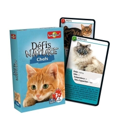 Défis Nature - Chats