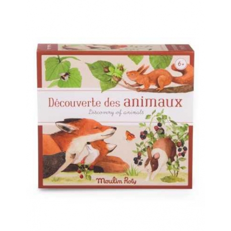 Le jardin du moulin - Découverte des animaux